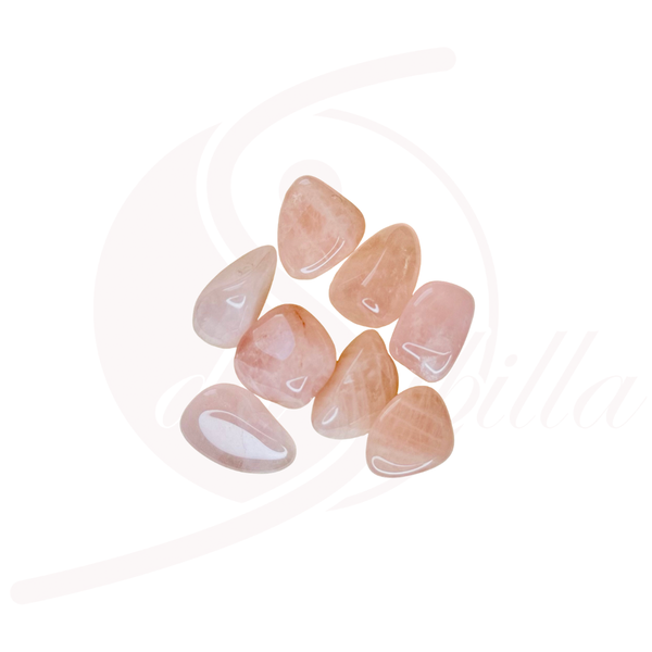 Rosenquarz Trommelstein – Selbstliebe & Harmonie 2,5–3 cm